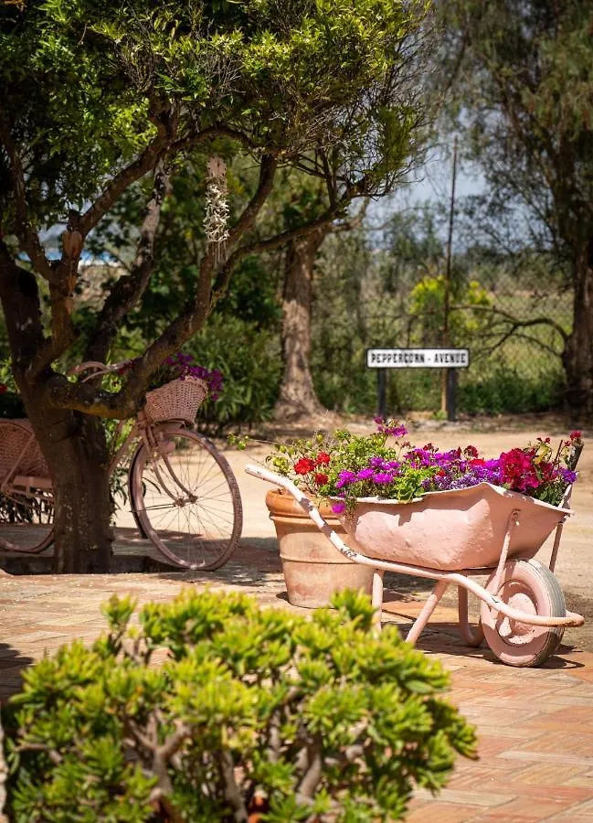 Quinta Aida Cottage And B&B Suites Lagoa  Lagoa (Algarve)